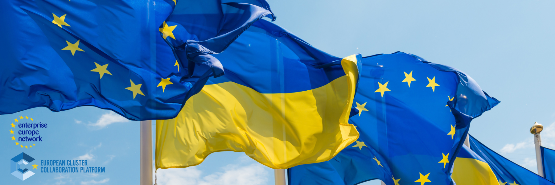 EEN Ukraine Survey Email Banner (1800x600)
