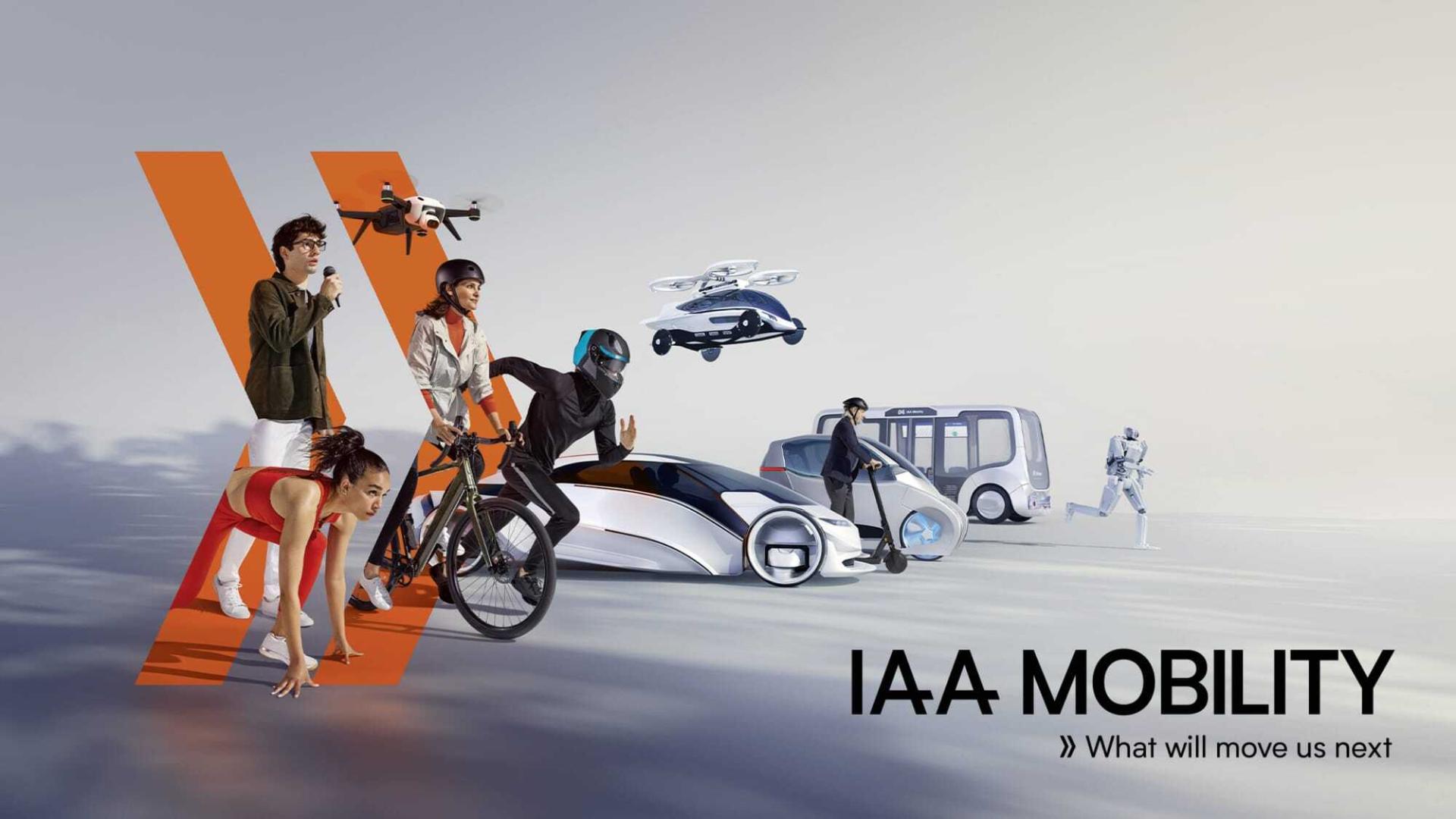 IAA News, Updates & Insights in our Newsletters