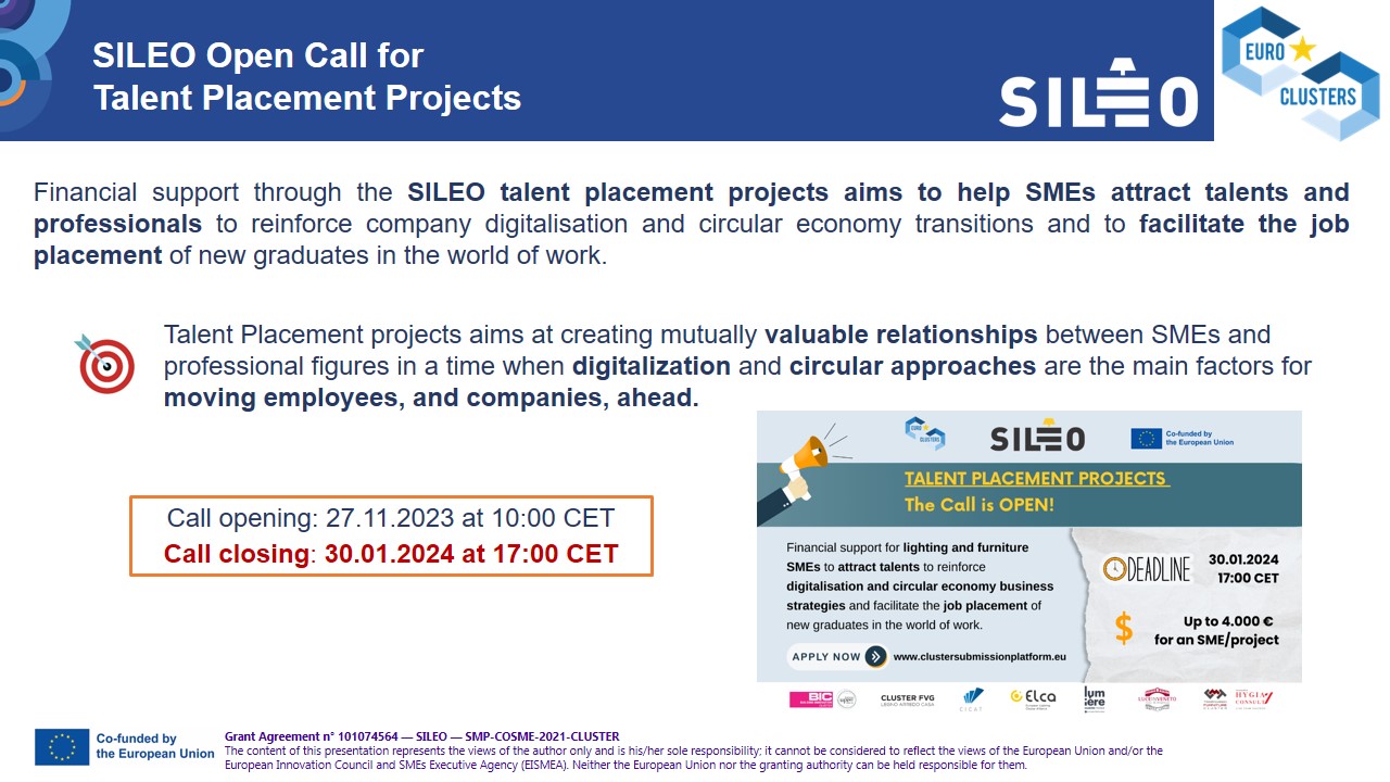 SILEO_Call Talent Placement Projects_info session 11.01.24