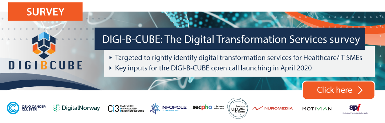 DIGI-B-CUBE: The Digital Transformation Services survey