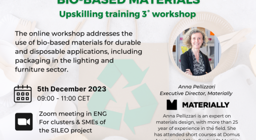 SILEO Upskilling training programme_3° workshop