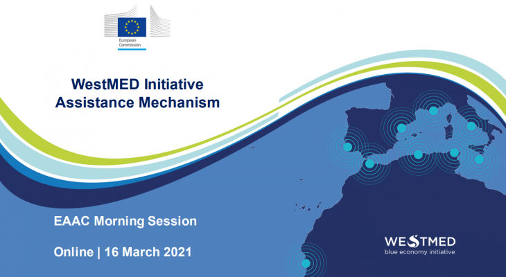WestMED initiative European Alliance Against Coronavirus meeting presentation slide
