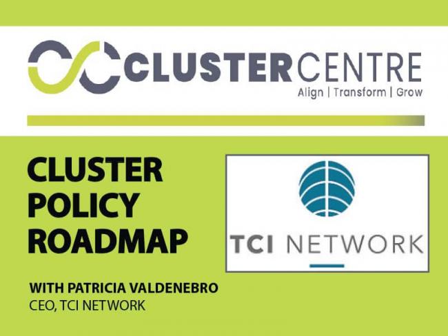 Cluster-Policy-Roadmap-Presentation