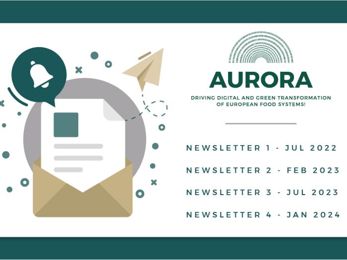 AURORA_Newsletters pour ECCP