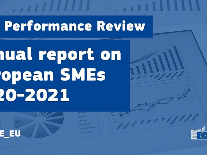 SME Annual report.v1