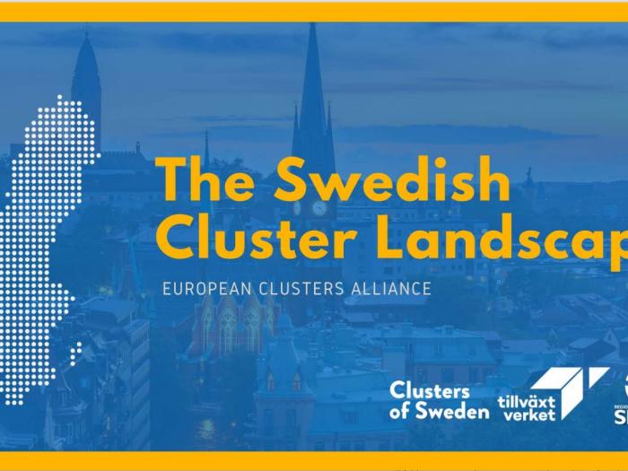 Swedish cluster landscape