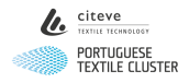 logo-citeve-cluster