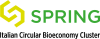 Logo SPRING_ENG Color payoff